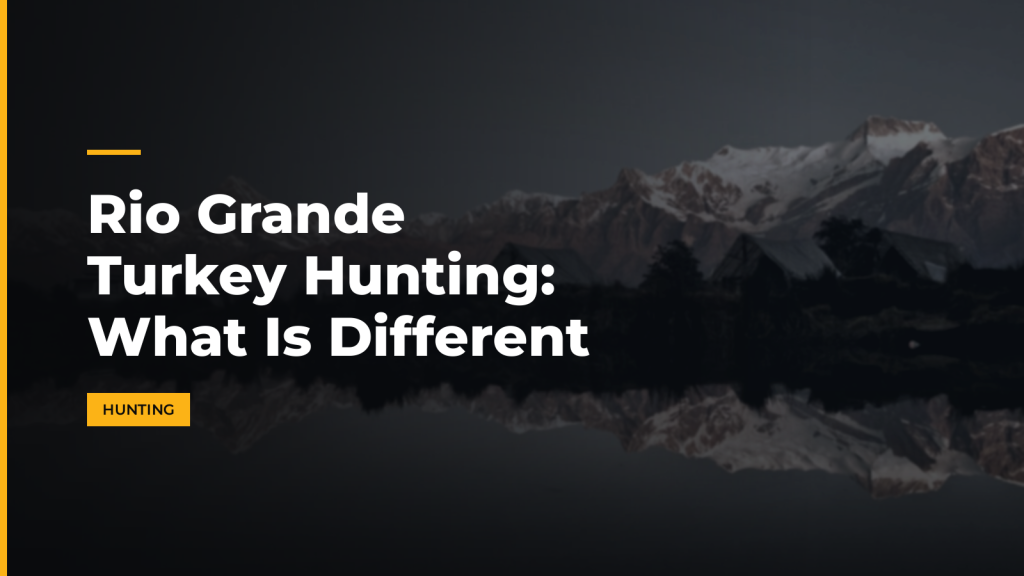 Rio Grande Turkey Hunting: What Is Different. McLean Corp USA.