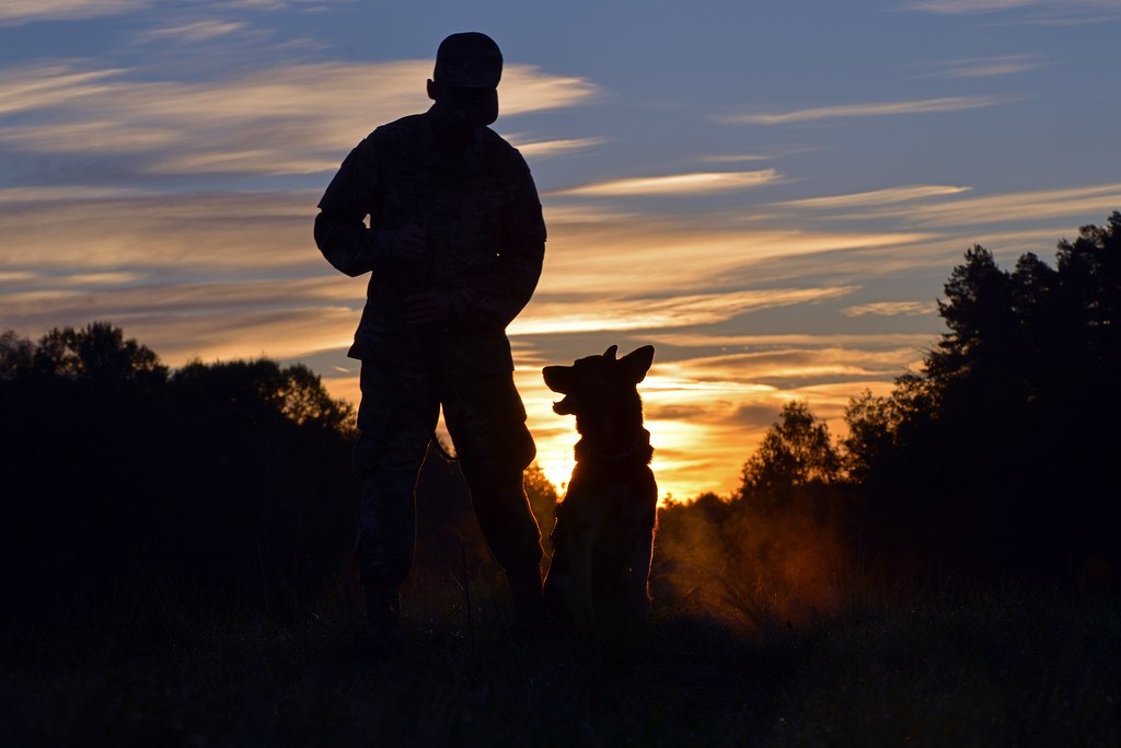 A silhouetted figure in uniform standing with a dog against an orange sunset sky, a weapon held across the chest