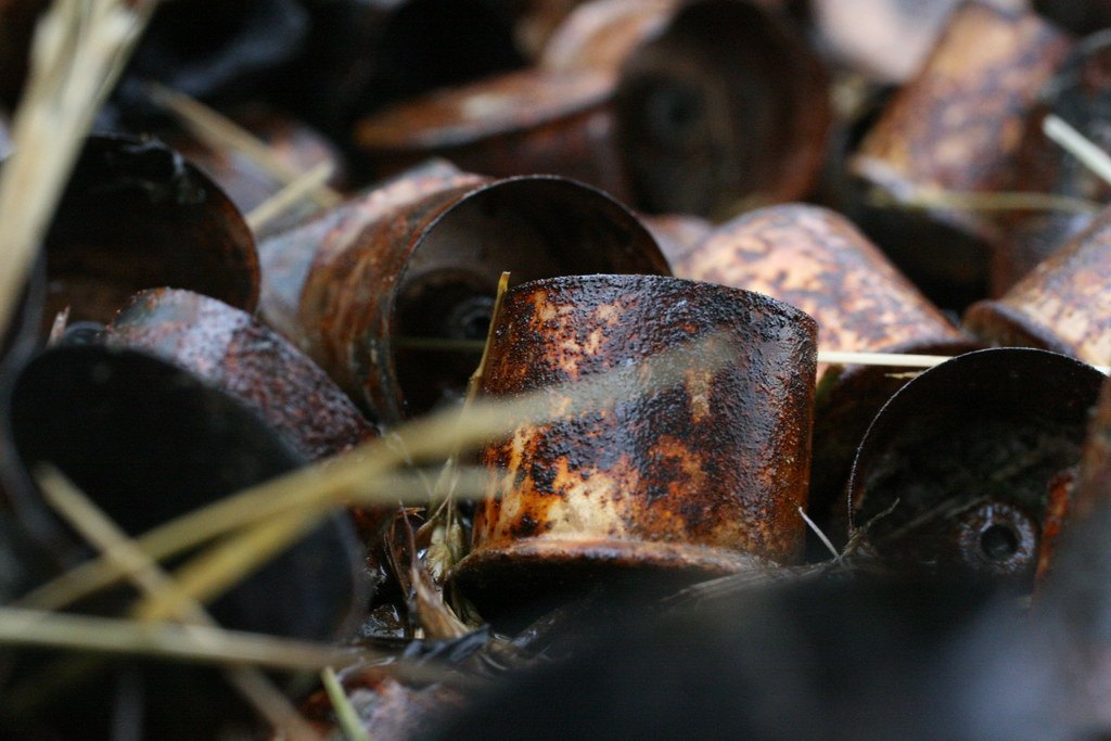 Rusted shotgun shell heads scattered among dry grass stalks