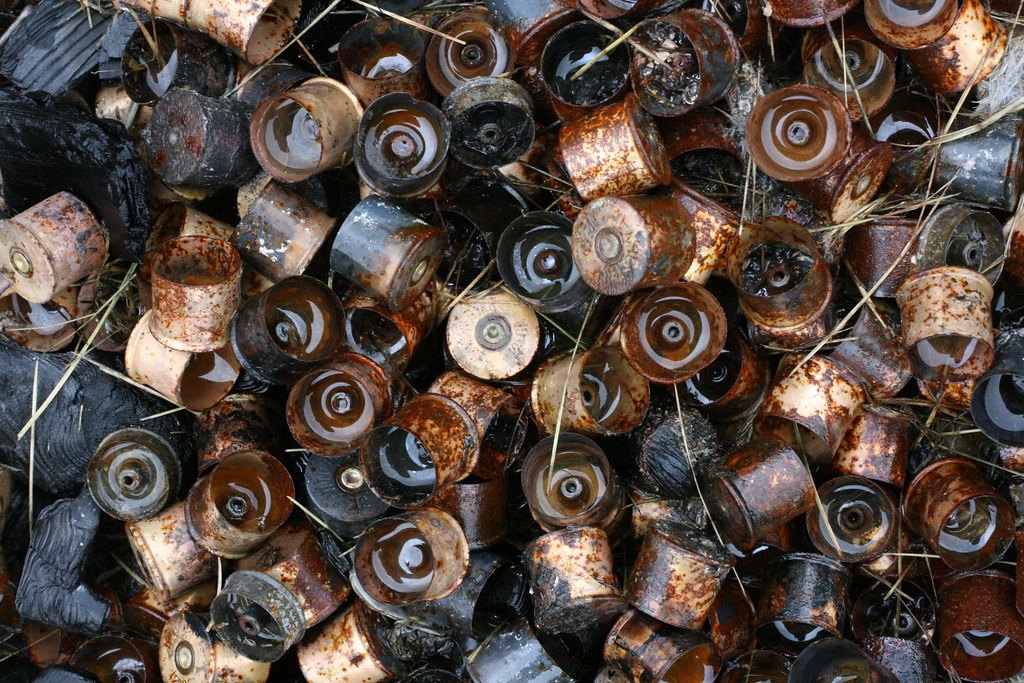 A dense layer of spent shotgun shell bases seen from above, primers and rusted rims visible