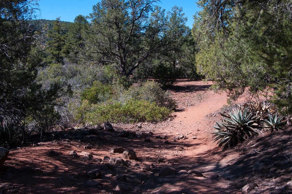 A dirt trail winding through low desert scrub and juniper under a blue sky