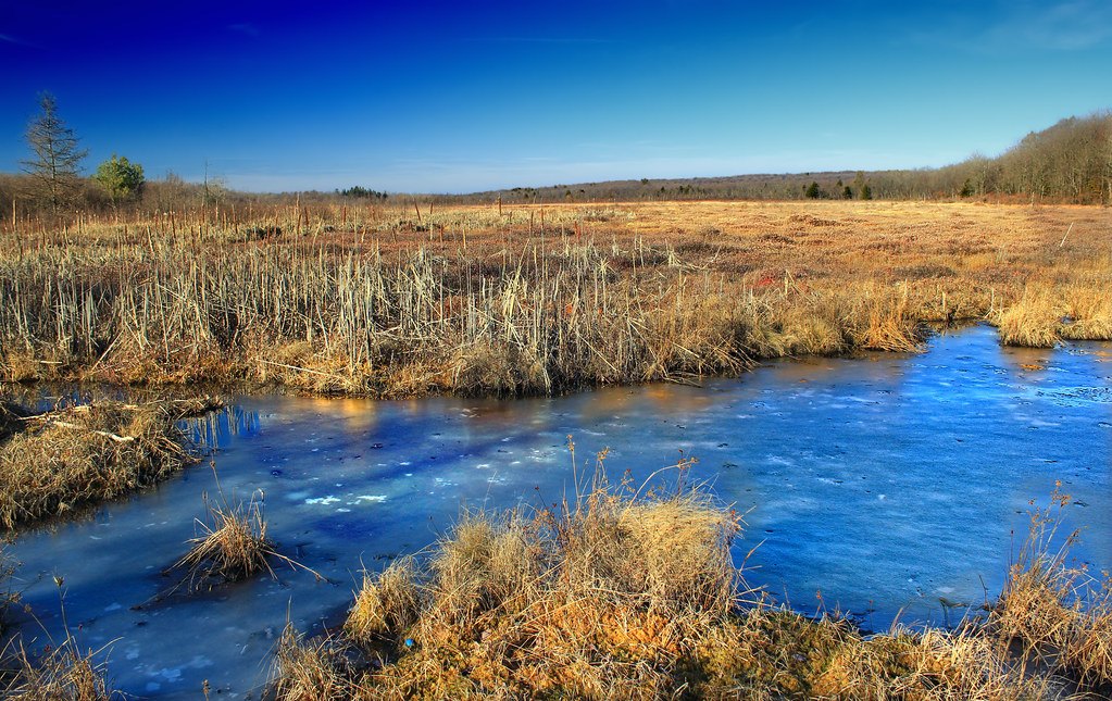 An open channel of water winding through tall dead marsh reeds under a deep blue sky