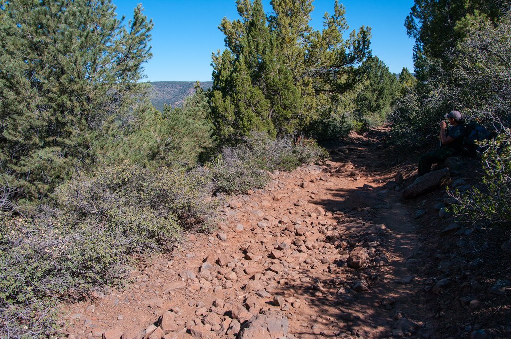 A rough stony trail climbing through desert brush under a clear sky