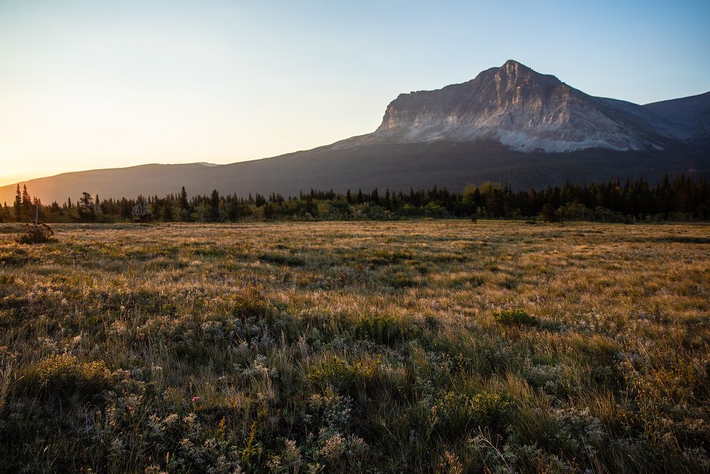 Open prairie grassland stretching to a distant mountain ridge in evening light