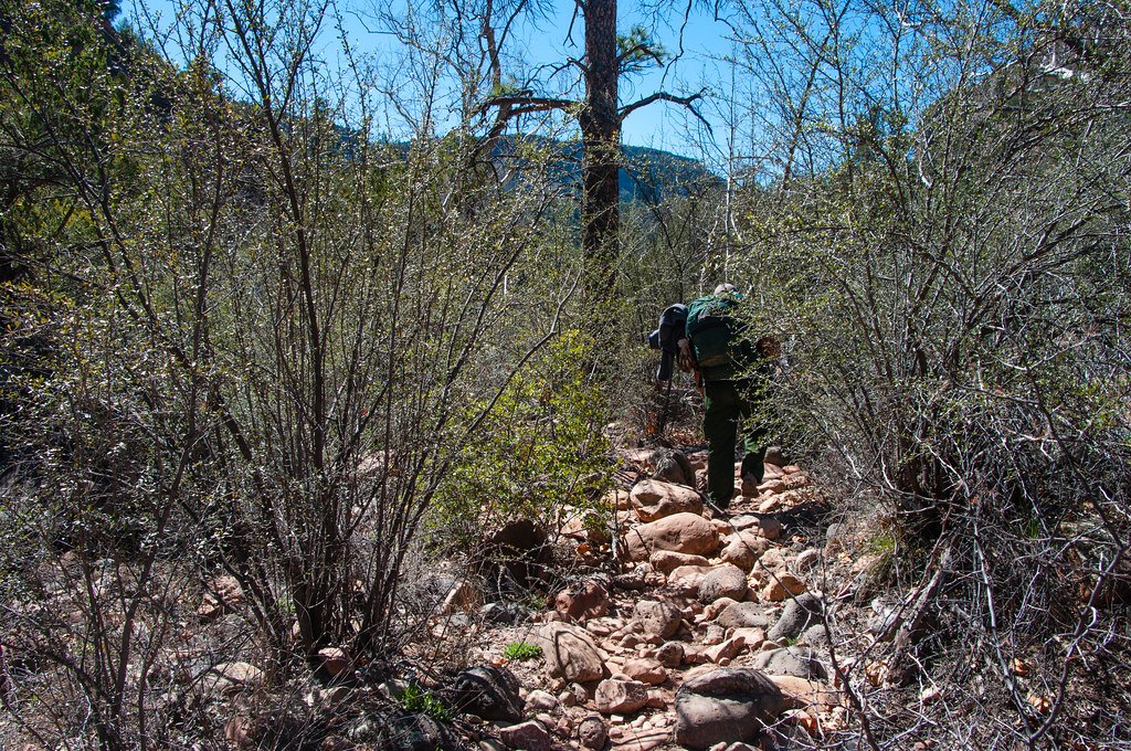 A person walking up a steep rocky trail through scrub, seen from a distance with a pack on