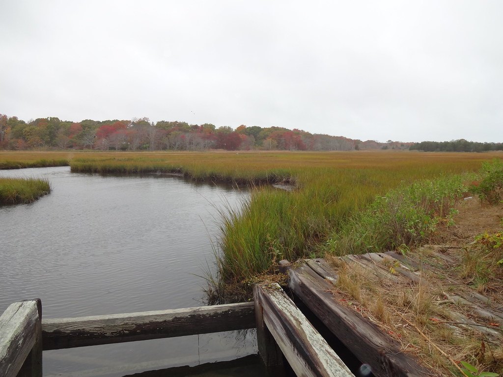 A tidal salt marsh channel with a wooden walkway in the foreground