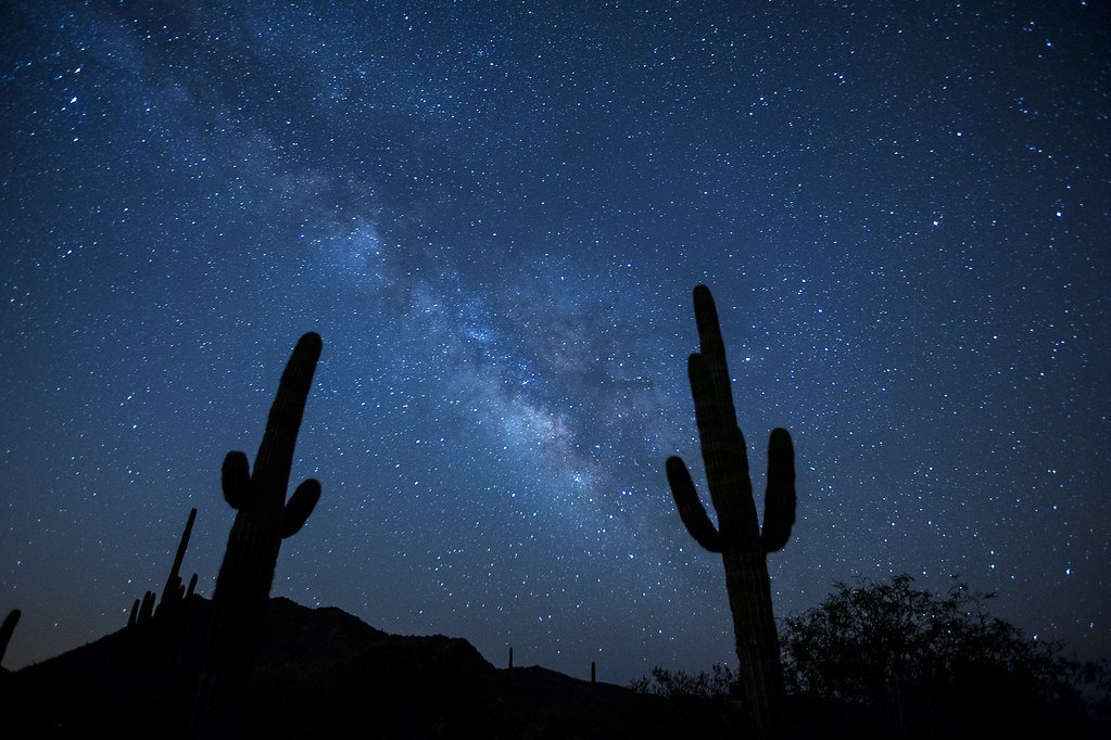 The Milky Way above a desert ridge, with saguaro cactus silhouetted against the night sky