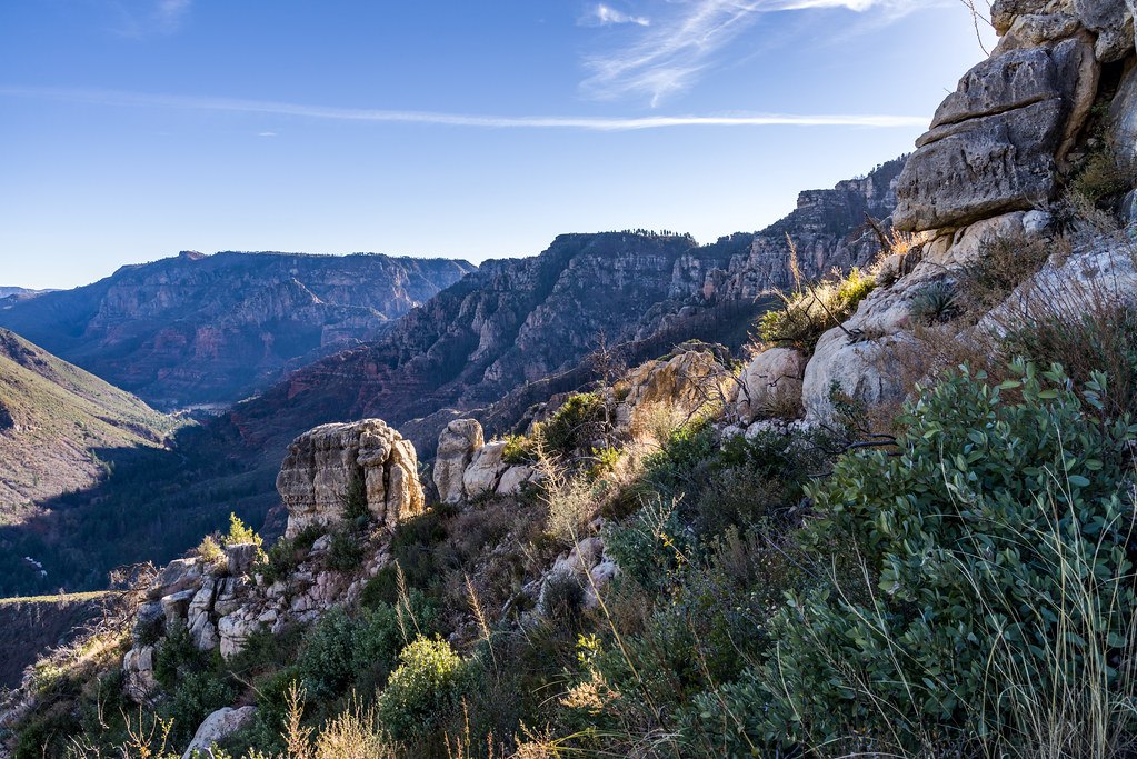 A view along a rocky ridge into a wide canyon with cliffs and timber