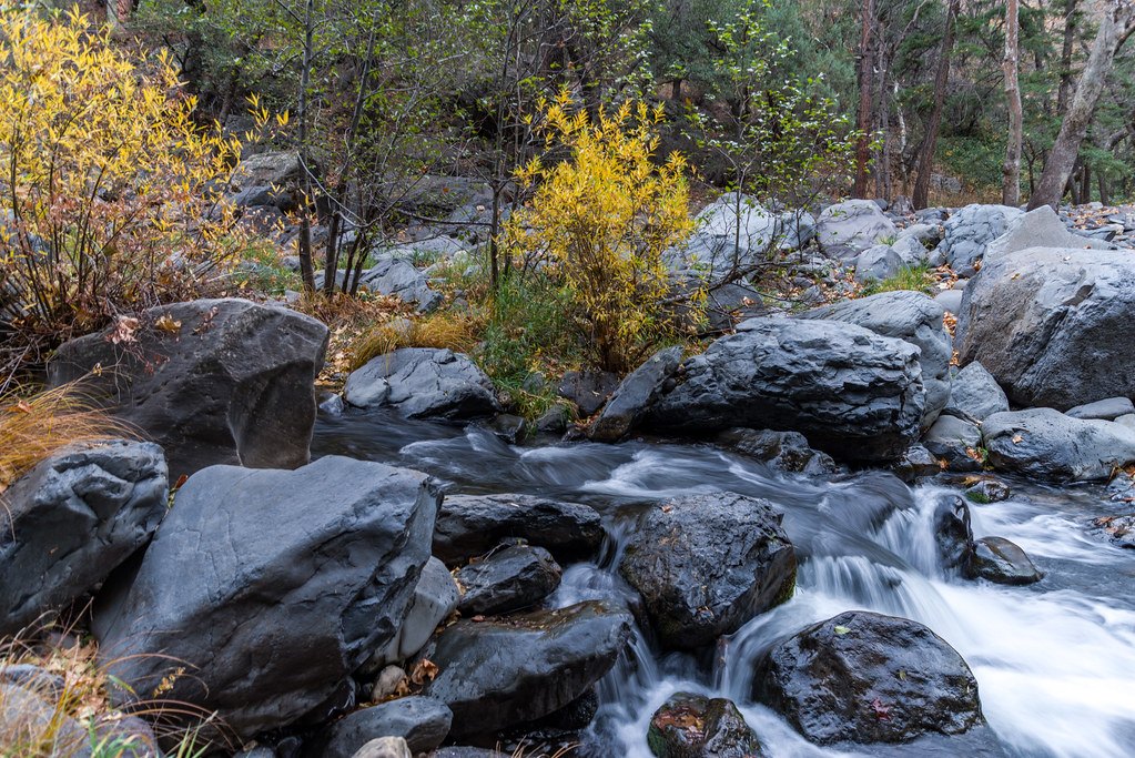 A creek crossing with boulders and running water below a wooded canyon slope