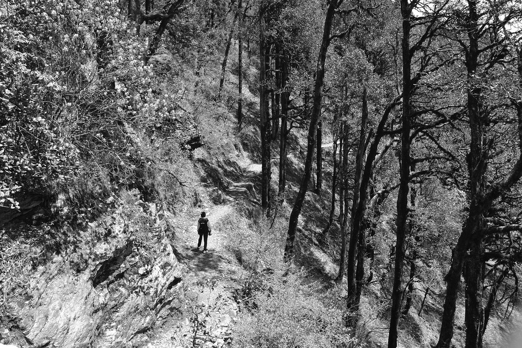 A black and white photograph of a lone walker on a narrow trail cut into a steep wooded slope