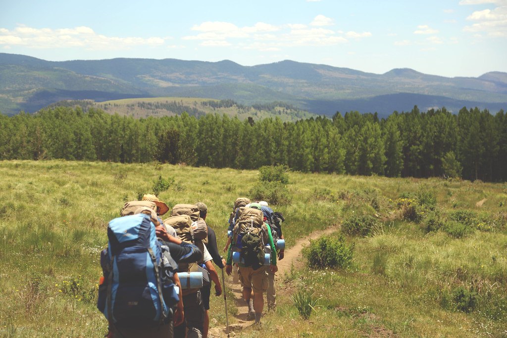 A line of people carrying backpacks walking single file along a trail through a mountain meadow