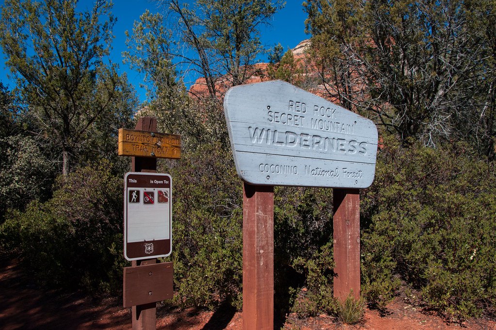 A carved wooden wilderness boundary sign standing among juniper and brush below red rock cliffs